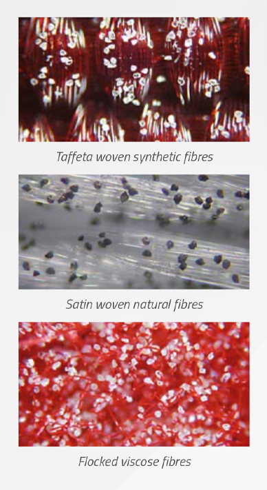 Different Disc Structures｜Taiwan Nakazawa